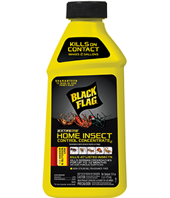 Extreme Home Insect Control Concentrate2
